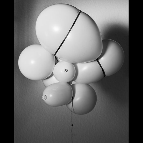 Luise Flügge - Selfisolation 2020404.jpg