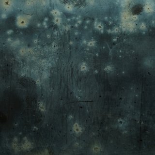 PS_2020_Edition_Joan Fontcuberta.jpg